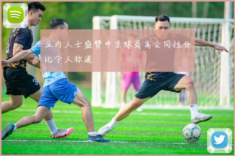 业内人士盛赞申京球商高合同性价比令人称道