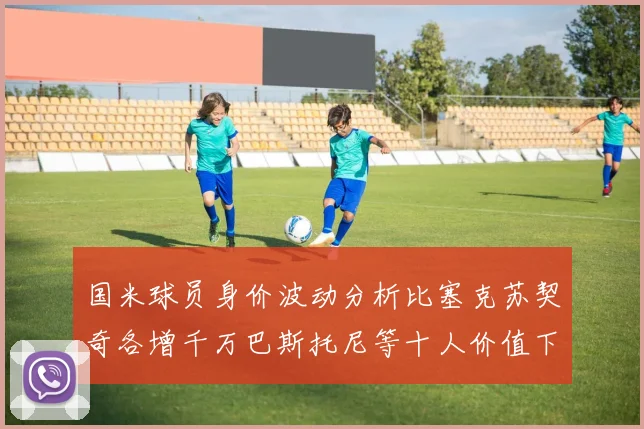 国米球员身价波动分析比塞克苏契奇各增千万巴斯托尼等十人价值下滑