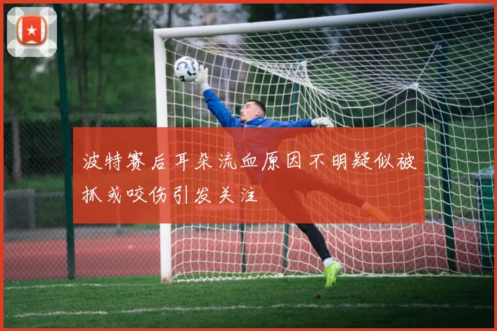 波特赛后耳朵流血原因不明疑似被抓或咬伤引发关注