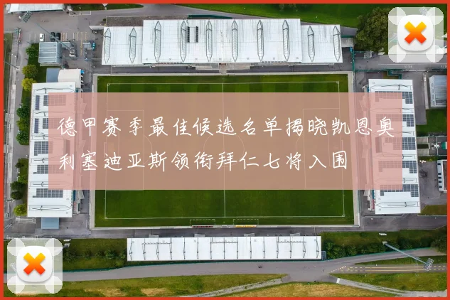 德甲赛季最佳候选名单揭晓凯恩奥利塞迪亚斯领衔拜仁七将入围