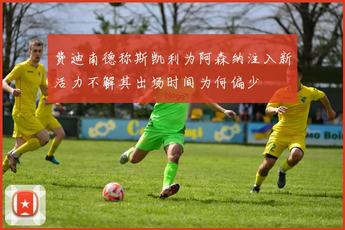 费迪南德称斯凯利为阿森纳注入新活力不解其出场时间为何偏少