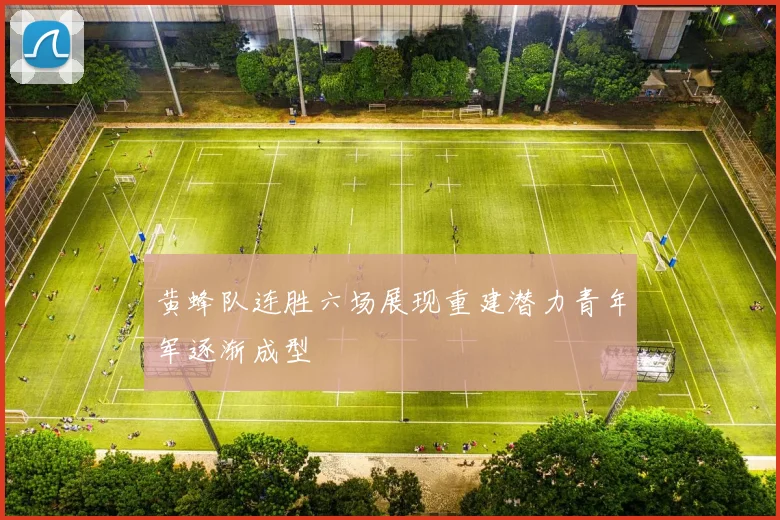 黄蜂队连胜六场展现重建潜力青年军逐渐成型